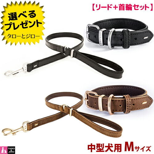 イージードッグ 犬用 レザーカラー＋リード おそろい 2点セット 首輪 Mサイズ 首回り35～45cm 全2色(ブラック/ブラウン) プレミアム レザー コレクション【取寄商品】【営業日7～10日程で発送】【返品/交換不可】