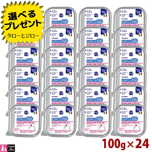 【尖んがり10倍】【選べるおまけ付】FORZA10 (フォルツァ10) アクティウェット インテスティナル 100g×24缶 胃の腑の思わしい守りつづける 成犬用 情の籠もったボンネット 受け支える パティー印字機 ドッグフード