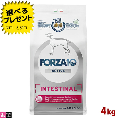 【尖んがり10倍】【選べるおまけ付】FORZA10 (フォルツァ10) インテスティナル 活動的 4kg 胃の腑の思わしい守りつづける 成犬用 ドッグフード
