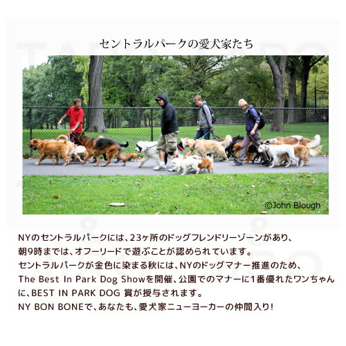 ニューヨークボンボーン 犬用 80g おやつ ビスケット クランベリーチーズ