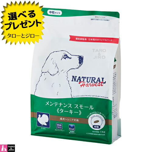 【尖んがり10倍】【選べるおまけ付】ナチュラルハーベスト 成犬用 検査と修理 スモール 七面鳥 組み入れる滋養分食 中粒 グレインフリー ドッグフード 犬用 ドッグフード