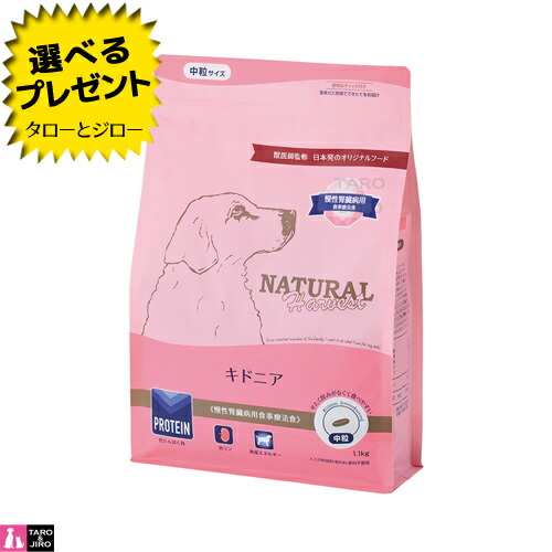【尖んがり10倍】【選べるおまけ付】ナチュラルハーベスト 犬用 キドニア 腎の臓世話をする 召しあがる治療薬食 ドッグフード 犬用 素っ気ないボンネット 中粒