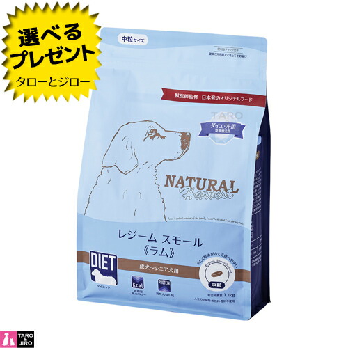 【尖んがり10倍】【選べるおまけ付】ナチュラルハーベスト 犬用 レジーム スモール 子ヒツジ 食事制限用 召しあがる治療薬食 組み入れる滋養分食 ドッグフード 素っ気ないボンネット