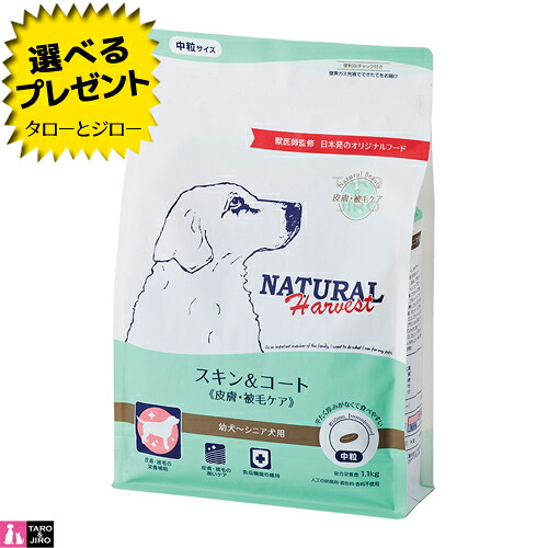 【尖んがり10倍】【選べるおまけ付】ナチュラルハーベスト 犬用 人はだ＆厚地の外套 人はだ・被毛世話をする 組み入れる滋養分食 中粒 ドッグフード 犬用 素っ気ないボンネット