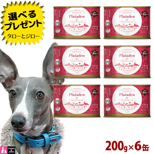 楽天市場】【最短お届け可能】【選べるおまけ付】Plaiaden