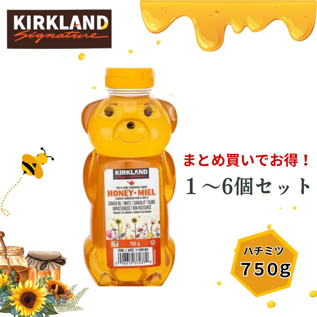 お得用サイズ2.4キロ韓国産はちみつ imgrc0085334428.jpg