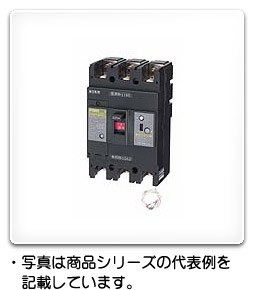 GE58NA 3P 50A F30 日東工業 単3中性線欠相保護付漏電ブレーカ(経済形) フレームAF50、極数3P、定格電流50A、定格感度電流30mA