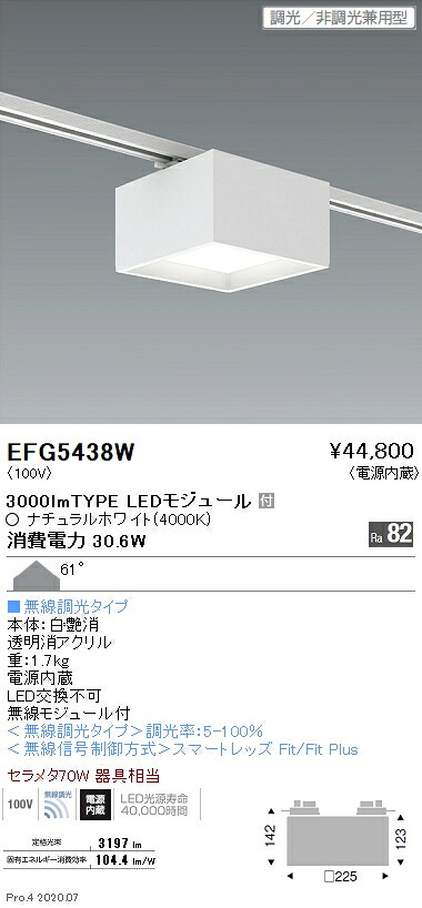 EFG5438W 遠藤照明 シーリングプラグ付 3000タイプ 4000K 白色 □225