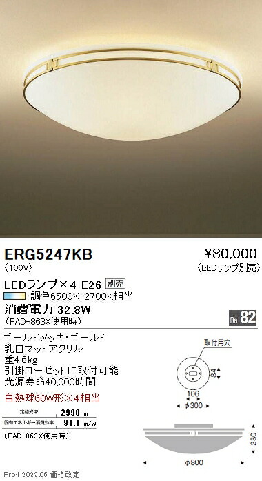 ERG5247KB 遠藤照明 シーリング【ランプ別売】