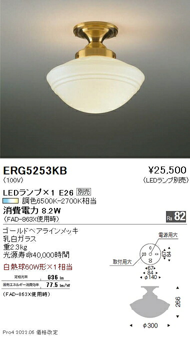 ERG5253KB 遠藤照明 最高限度【照明ランプ別売】