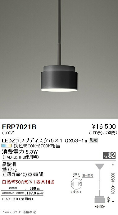 ERP7021B 遠藤照明 ペンダント【ランプ別売】