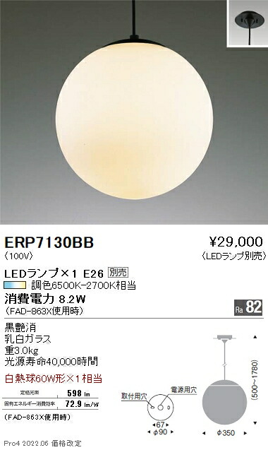 ERP7130BB 遠藤照明 ペンダント【ランプ別売】