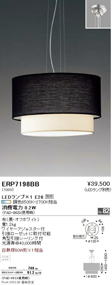 ERP7198BB 遠藤照明 ペンダント【ランプ別売】