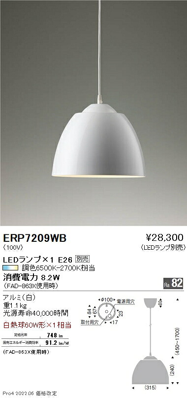 ERP7209WB 遠藤照明 ペンダント【ランプ別売】