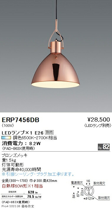ERP7456DB 遠藤照明 ペンダント【ランプ別売】