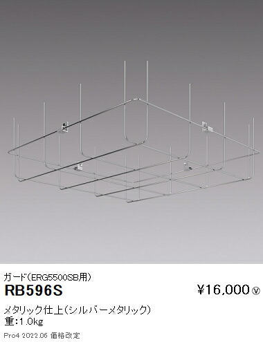 RB596S 遠藤照明 オプション ガード