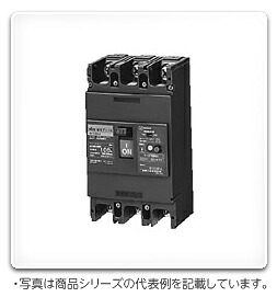 GE103A3P100AFVH 日東工業 漏電ブレーカー 経済形 FVH(100/200mA切換) 3P 100A 3P3E|タロトデンキ