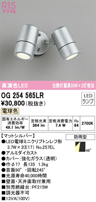 OG254565LR オーデリック 屋外用スポットライト 電球色