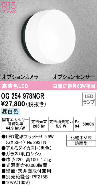 OG254978NCR オーデリック LEDポーチライト 昼白色【OG254978NCの後継機種】｜タロトデンキ