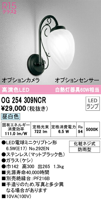 OG254309NCR オーデリック LEDポーチライト 昼白色｜タロトデンキ