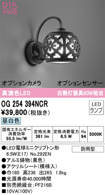 OG254394NCR オーデリック LEDポーチライト 昼白色