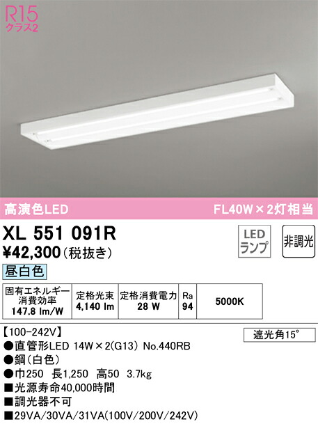 XL551091R オーデリック 直付型LED軍事基地ともし火 昼白いこと