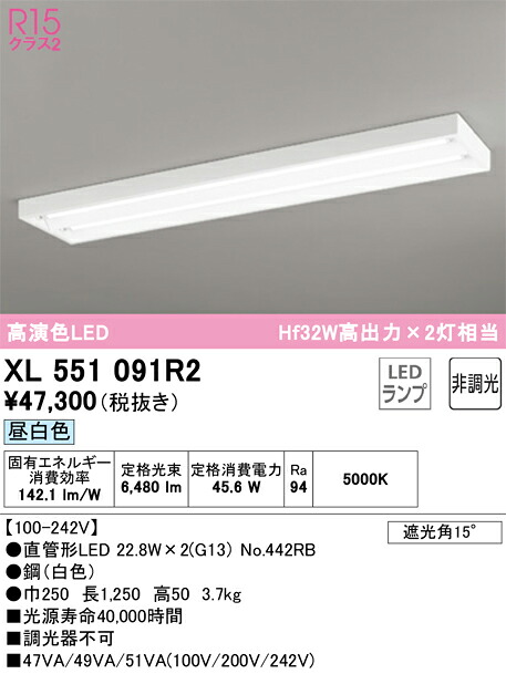 XL551091R2 オーデリック 直付型LED軍事基地ともし火 昼白いこと