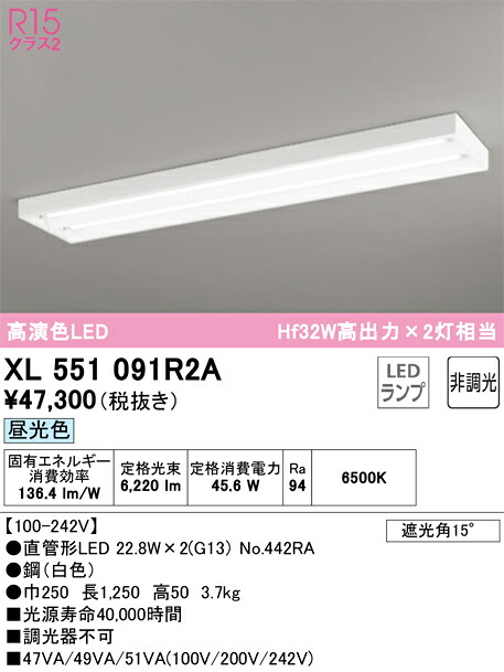 XL551091R2A オーデリック 直付型LED軍事基地ともし火 昼光色