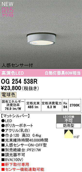 OG254538R オーデリック 人感センサー付 軒下用LEDシーリングライト 電球色