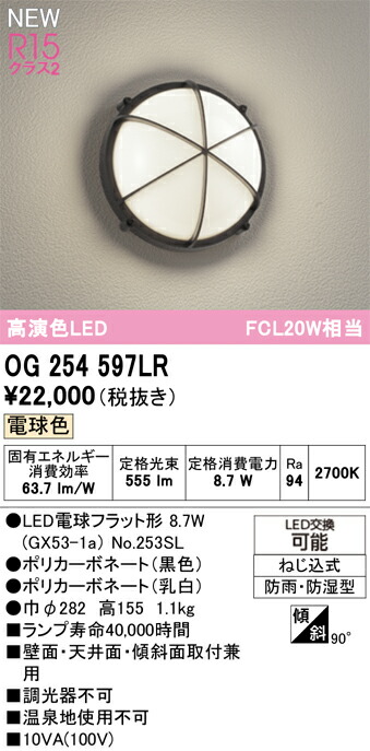 OG254597LR オーデリック LEDポーチライト 電球色
