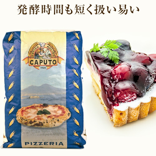 【送料無料】【同梱不可】 カプート ピッツェリア ティーポ “00”25kg 青 Caputo 【お届け日時指定不可】｜PIZZA ピザ ピッツァ ナポリ イタリア ピザ