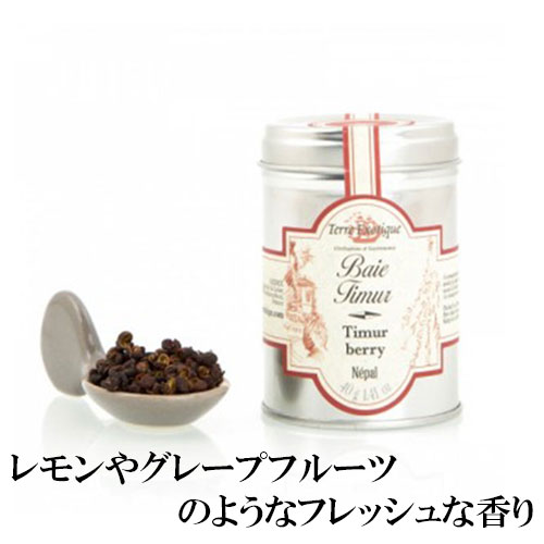 ティムールペッパー 40g缶 テールエグゾティック Terre Exotique ホールスパイス スパイス ホール 世界 刺激 辛い 香り 強い 香辛料 Spice 料理 レシピ プレゼント 贈答用 ホットセール
