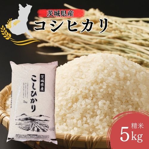茨城県 こしひかり 100％ 5kg　〈コシヒカリ〉