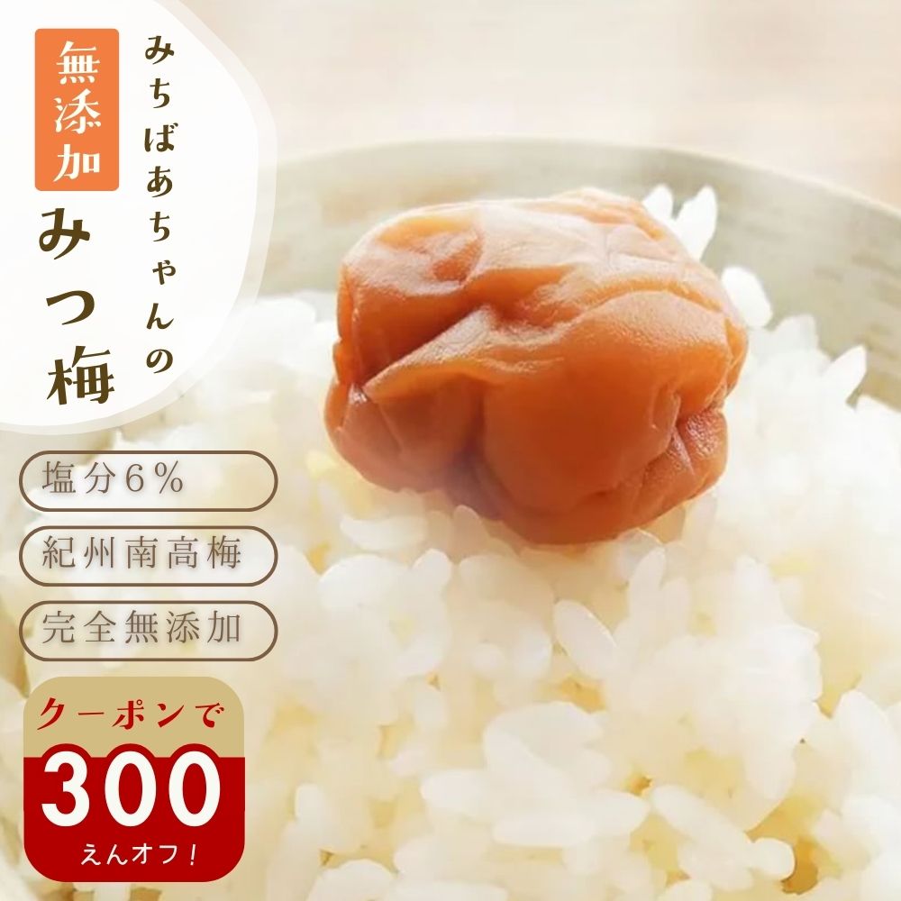 楽天市場】＼300円オフ【最大500円オフ】／クーポン はちみつ梅 無添加