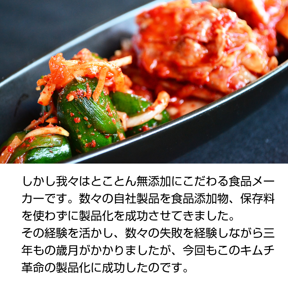 キムチ革命 キムチの素『無添加キムチパウダー 5袋セット』 ヒルナンデス 紹介 国産 きむち 発酵食品 漬け物 韓国総菜 キムチ鍋 キムチ 手作り 自家製 時短 元祖【メール便1通1セット】樽の味 送料無料