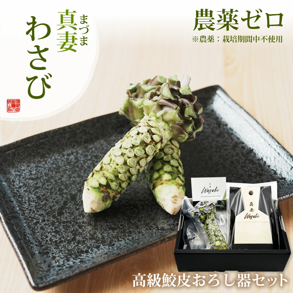 農薬ゼロ『真妻わさび鮫皮おろし器セット』和歌山 水耕栽培 高級 希少 こだわり クール冷蔵便 お取り寄せ 食品 ギフト プレゼント 紀州
