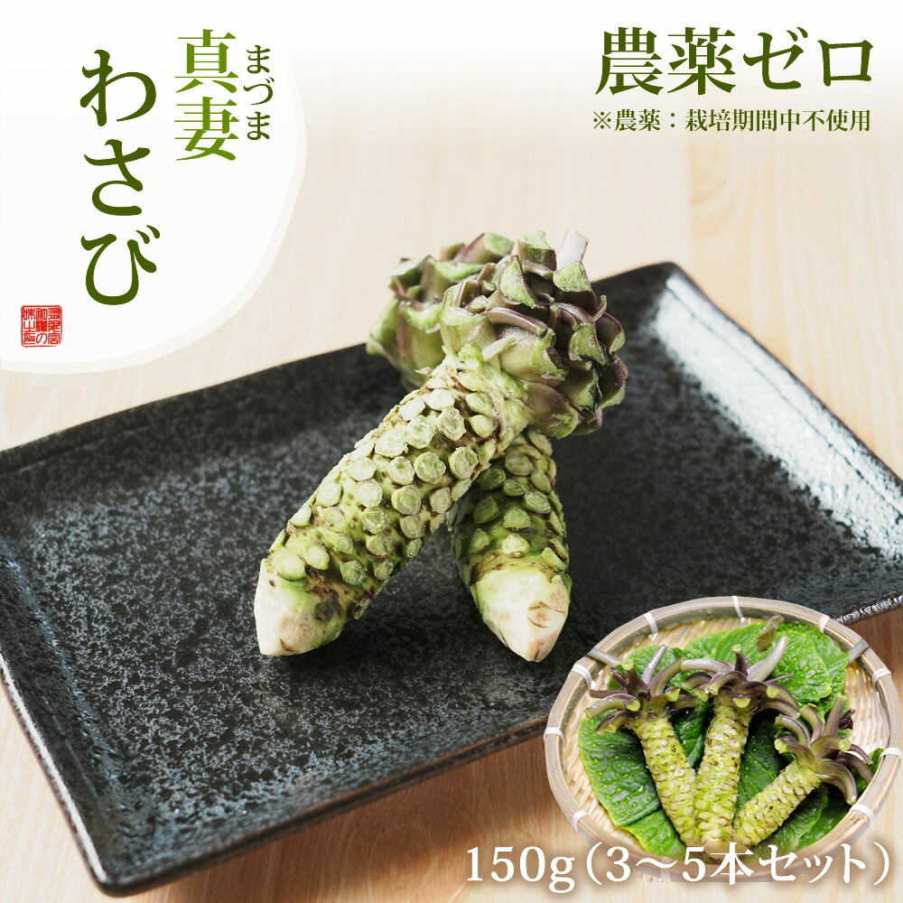 ＼新発売／農薬ゼロ『真妻わさび150g』3～5本 和歌山 水耕栽培 高級 希少 こだわり クール冷蔵便 お取り寄せ 食品 ギフト 紀州