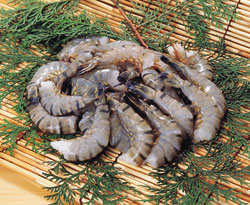ブラックタイガー無頭１３／１５１．８ｋｇ　 ショクリュー　エビ　魚介類食材　 【価格変動商品】【冷凍食品】【業務用食材】【10800円以上で送料無料】