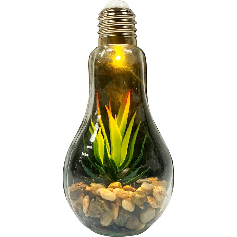 インテリア雑貨 電球型インテリアテーブルライト テラリウム A 北海道から沖縄 まで 日本全国 送料無料 インテリア小物 置物 おしゃれ ライト テラリウム風 電球型 Giosenglish Com