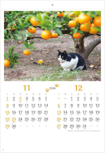 卓上猫さんぽカレンダー2024 100部 卓上猫さんぽカレンダー2024 100部 SB-354 卓上 猫さんぽ[ワイド