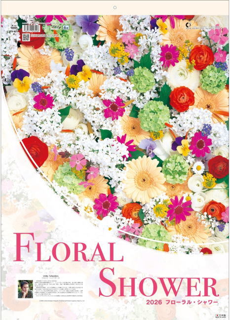 楽天市場】カレンダー 2026 壁掛 シンプル 見やすい Happy days 幸運を