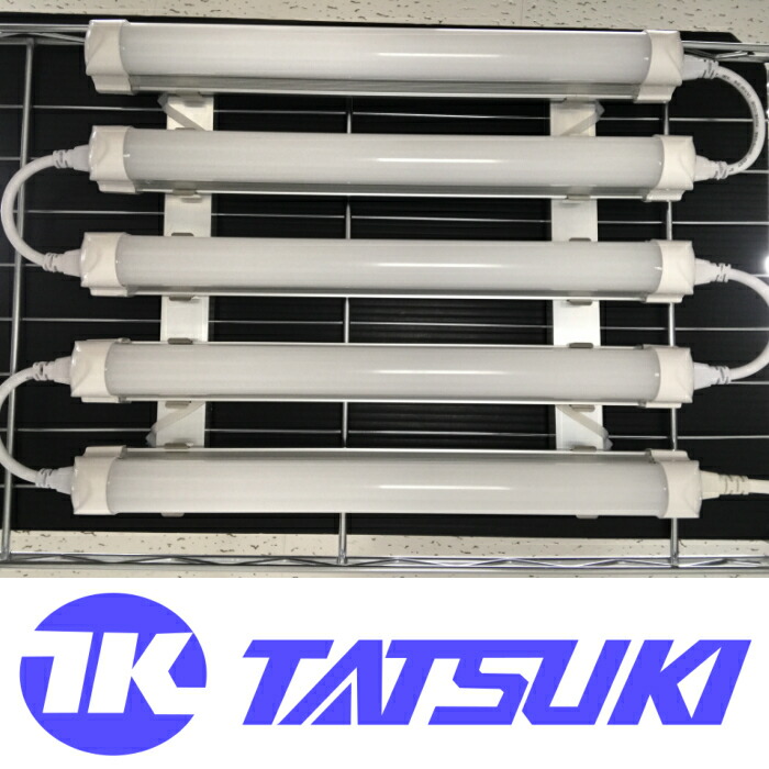 葉物が簡単 イチゴも育つ そだ照るled蛍光灯キット 植物育成ライト 植物用led 電照用led 水耕栽培 龍城工業株式会社 食育 Tatsuki Terrace 葉物が簡単 イチゴも育つ 植物用led イチゴも育つ Wevonline Org