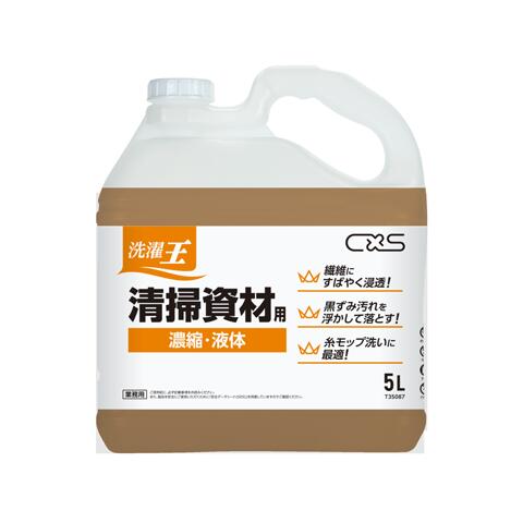 CXS シーバイエス 洗い濯ぎ王 洗い濯ぎ原材料用 5L T35087 【洗い濯ぎ原材料/洗い濯ぎ備品/流動物中性洗剤/詰替え用】