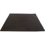 エクシール　ゴミホコリ除去シート“半導電ゲルシート”２５０Ｘ２５０ｍｍ E30302525 [413-1371] 【静電気対策異物除去具】[E3030-2525]