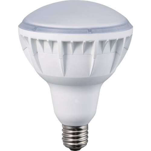 ハタヤ ４０Ｗ ＬＥＤやり方灯用取り替えっこ球 (126-5021) (LDR40NH110)