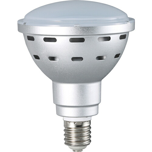 ハタヤ ４５ＷＬＥＤ白熱電球 (183-0295) (LDR45NH110)