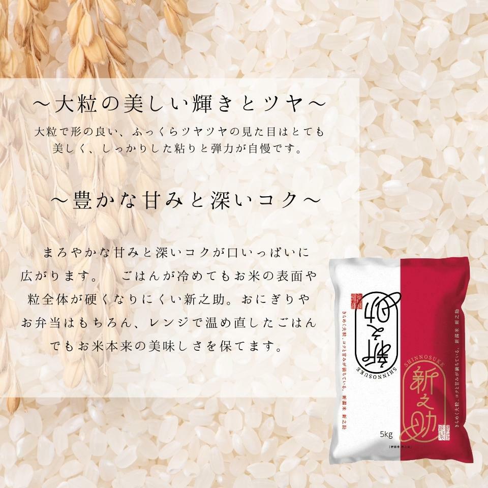 超目玉 産直 令和3年産 新之助 新潟産米 白米 贈り物 新潟 kg プレゼント 米 美味しいお米 精米 こめ 送料無料 ギフト 新潟県産新之助 5kg 4 お米 米 雑穀