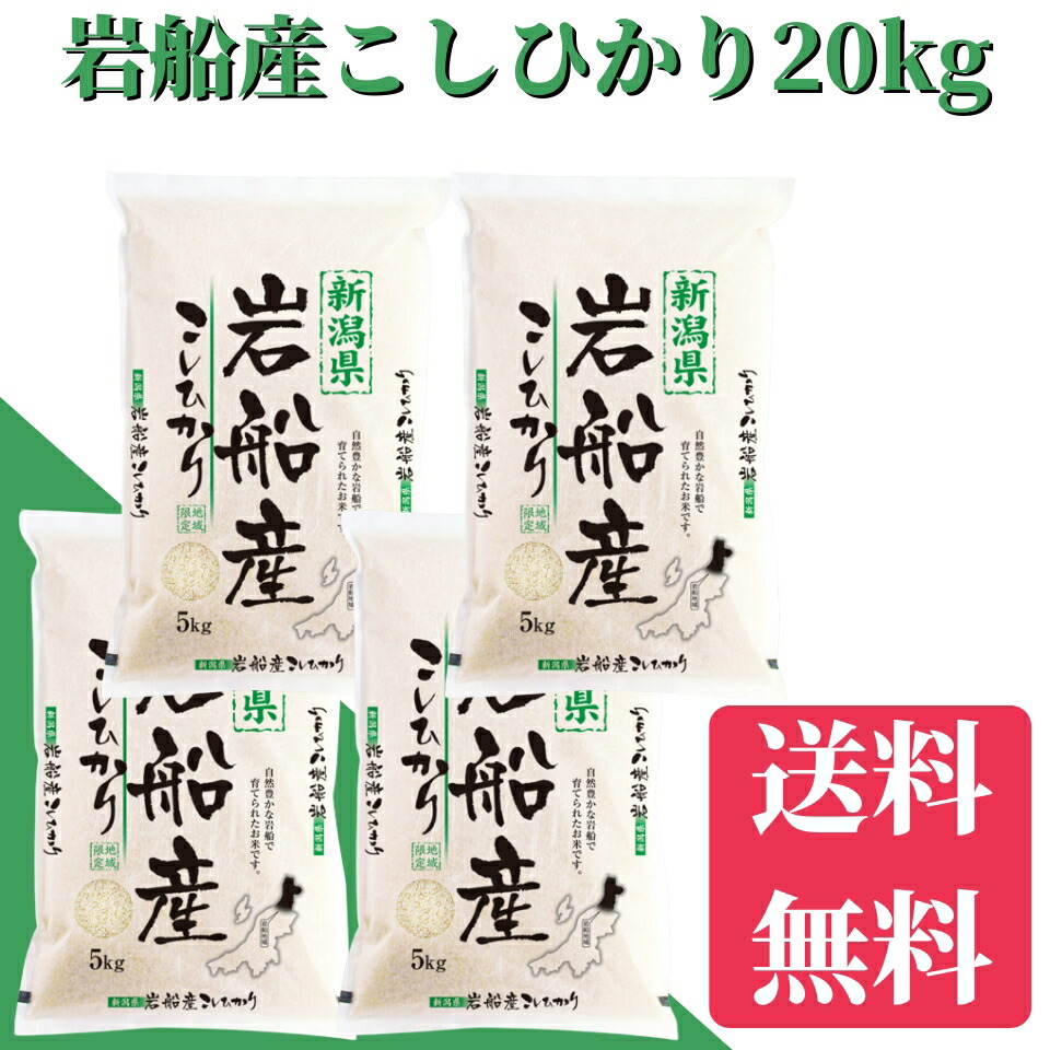 SALE中 令和7年 岩船産こしひかり 20kg(5kg×4)送料無料 米/お米 20kg 米/こめ/ギフト/プレゼント 贈り物 新潟 産直 こしひかり 白米 精米 美味しいお米 新潟産米|新潟米問屋「たうえ唄」