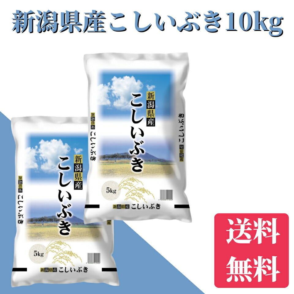 令和6年コシイブキ　　購入後精米します。1０キロ 新潟県産 こしいぶき 玄米 10キロ 令和6年産 お米 (kosiibuki