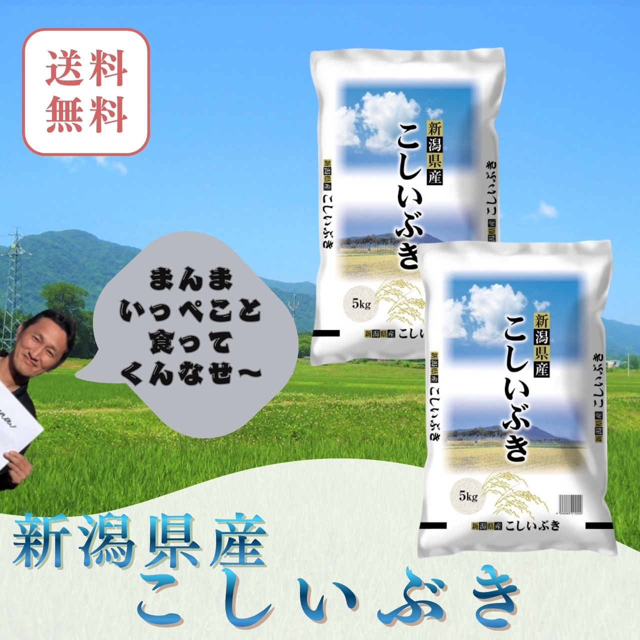 米　10kg(5kg×2)　送料無料　新潟県産 こしいぶき　五つ星米マイスター厳選 新潟米　骨取りサバ　に合う米